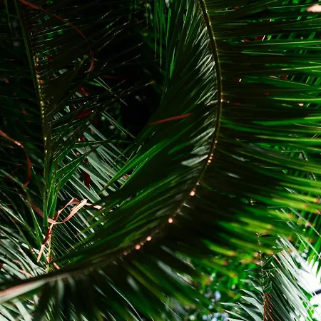 Eventhotel Pyramide 4*