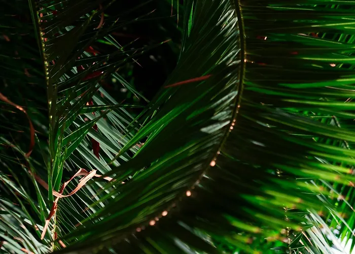 Eventhotel Pyramide 4*